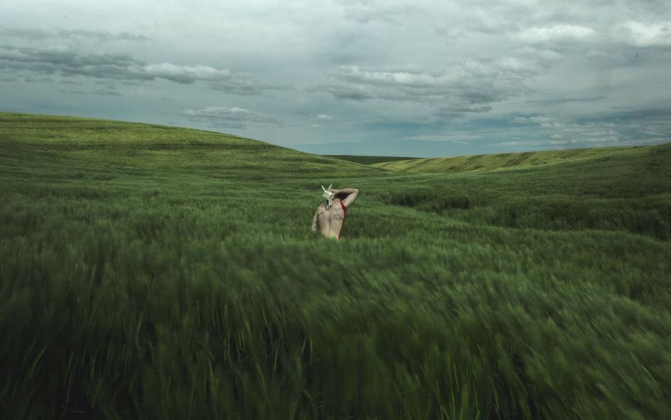Free Image of Woman in red dress in green field 