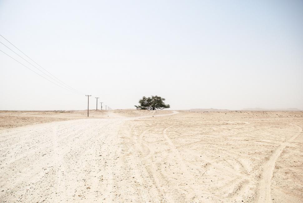 Free Image of Desolate desert landscape with a lone tree 
