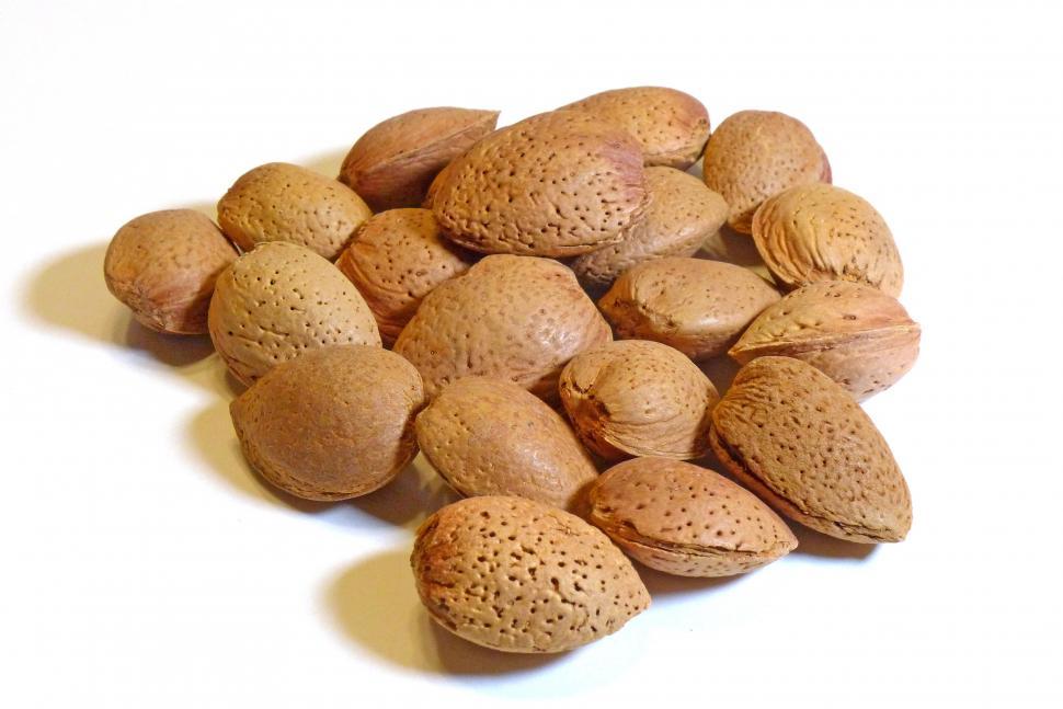 Free Image of Almond Nuts In Shell  