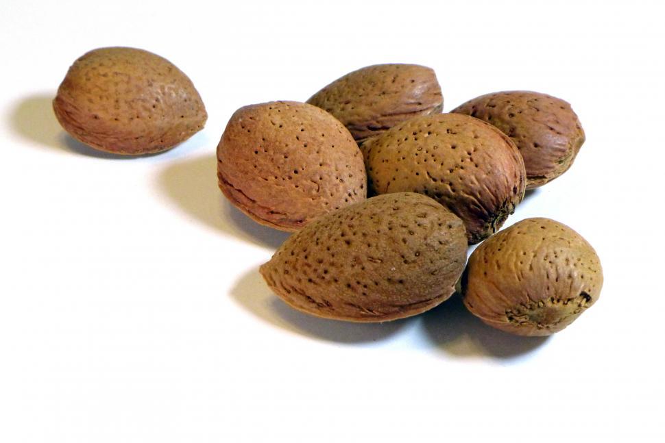 Free Image of Almond Nuts In Shell  