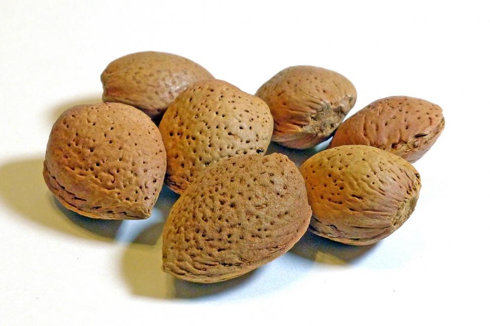 Free Image of Almond Nuts In Shell  
