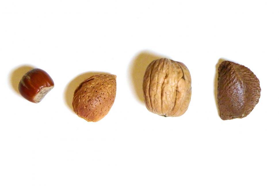 Free Image of Nuts In Shells 