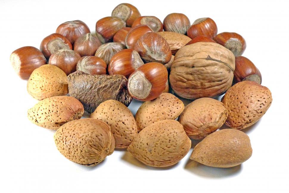 Free Image of Mixed Nuts 