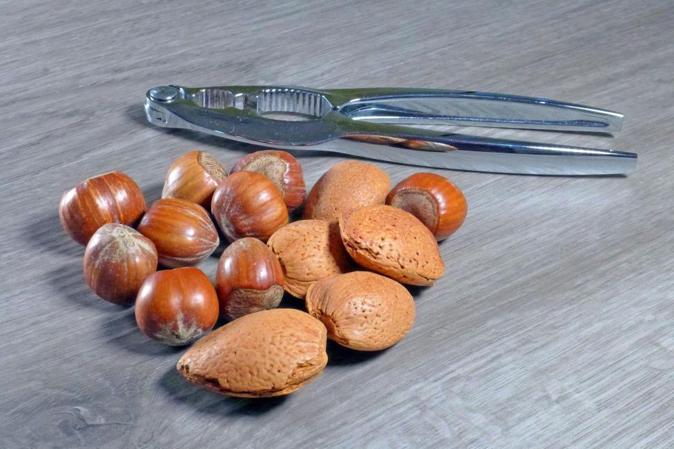 Free Image of Hazelnuts and Almonds 