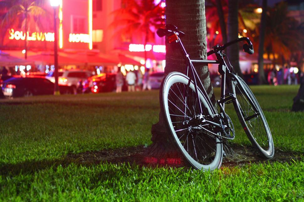 Free Image of Bicycle parked by a palm tree 