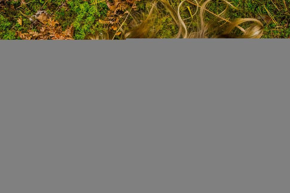 Free Image of Woman lying with dog in nature 