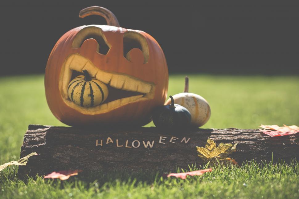 Free Image of Seasonal Halloween pumpkin decoration on grass 