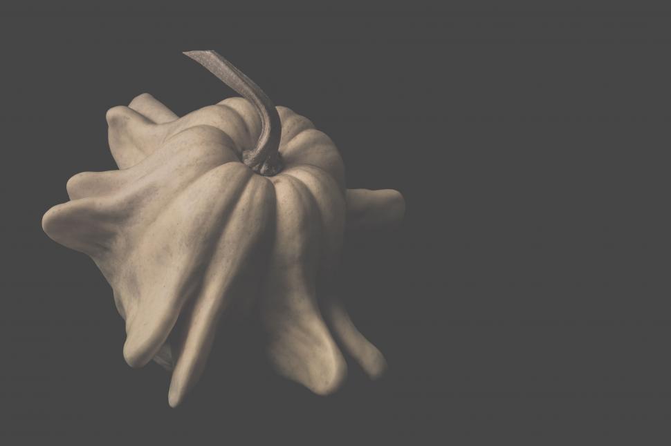 Free Image of Artistic black and white image of a squash 