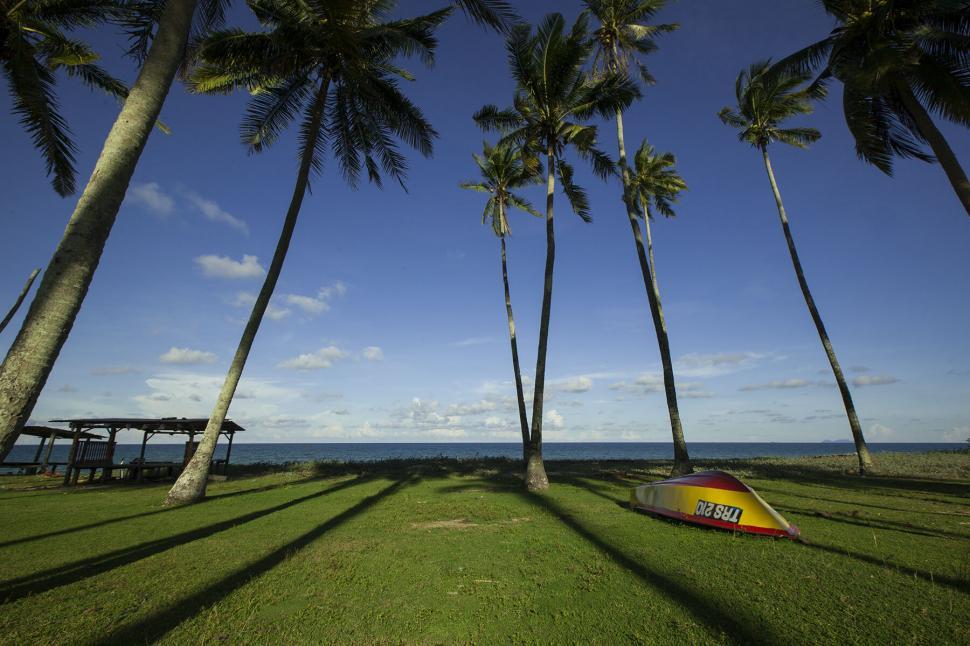 Free Image of Tropical beach with boat and palm trees 