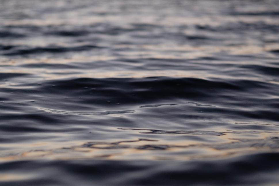 Free Image of Golden hour reflecting on rippling water 