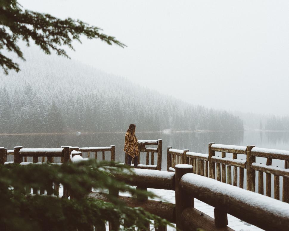 Free Image of Person on bridge in snowy forest 