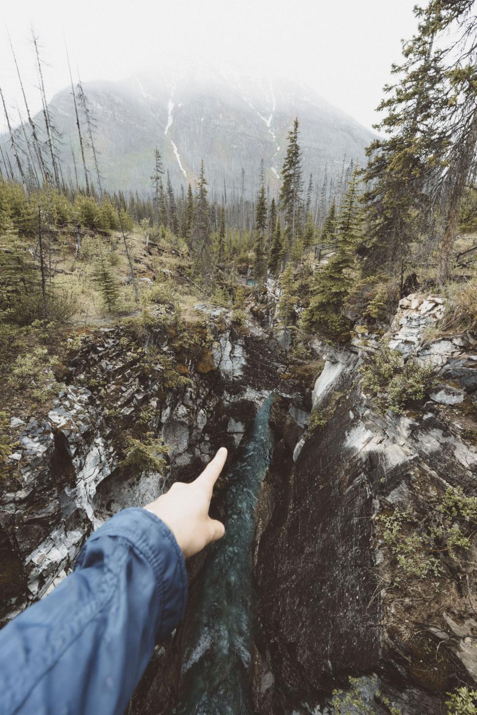 Free Image of Person pointing towards a river in a forest 