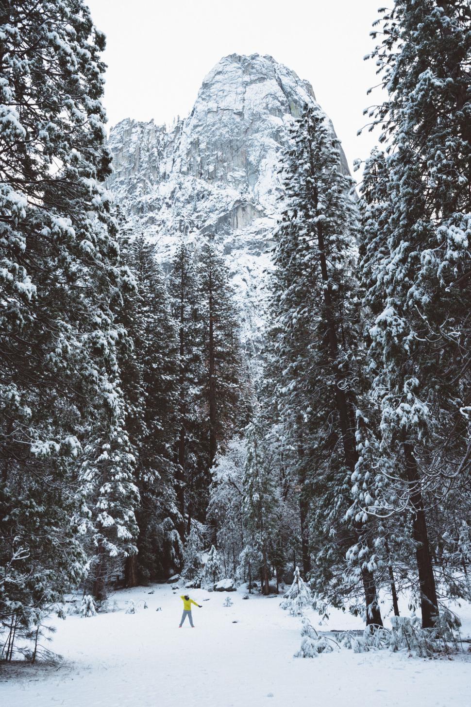 Free Image of Person in yellow on snowy mountain trail 