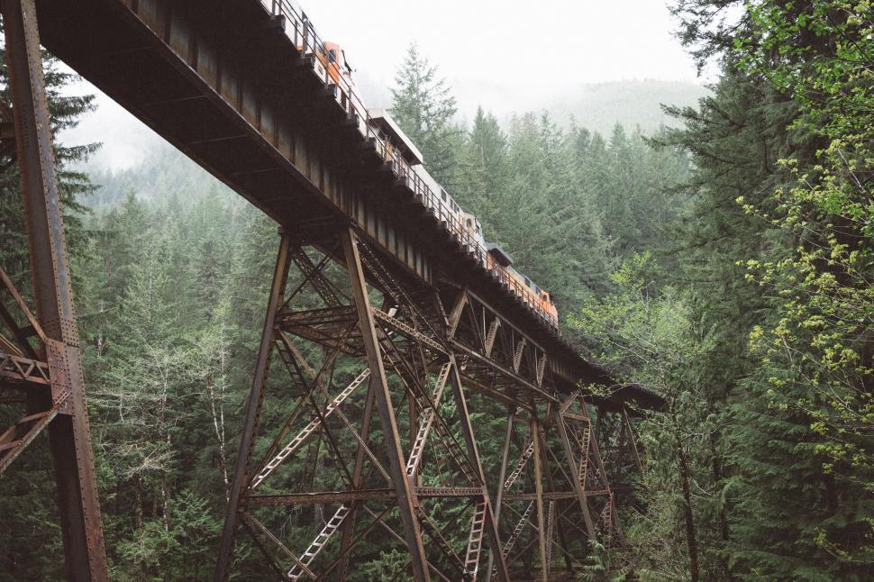 Free Image of Train crossing a forest trestle bridge 