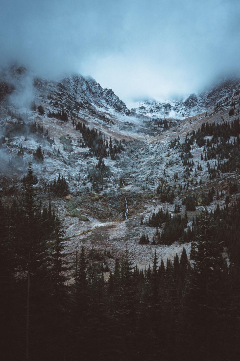 Free Image of Majestic foggy mountain forest scene 