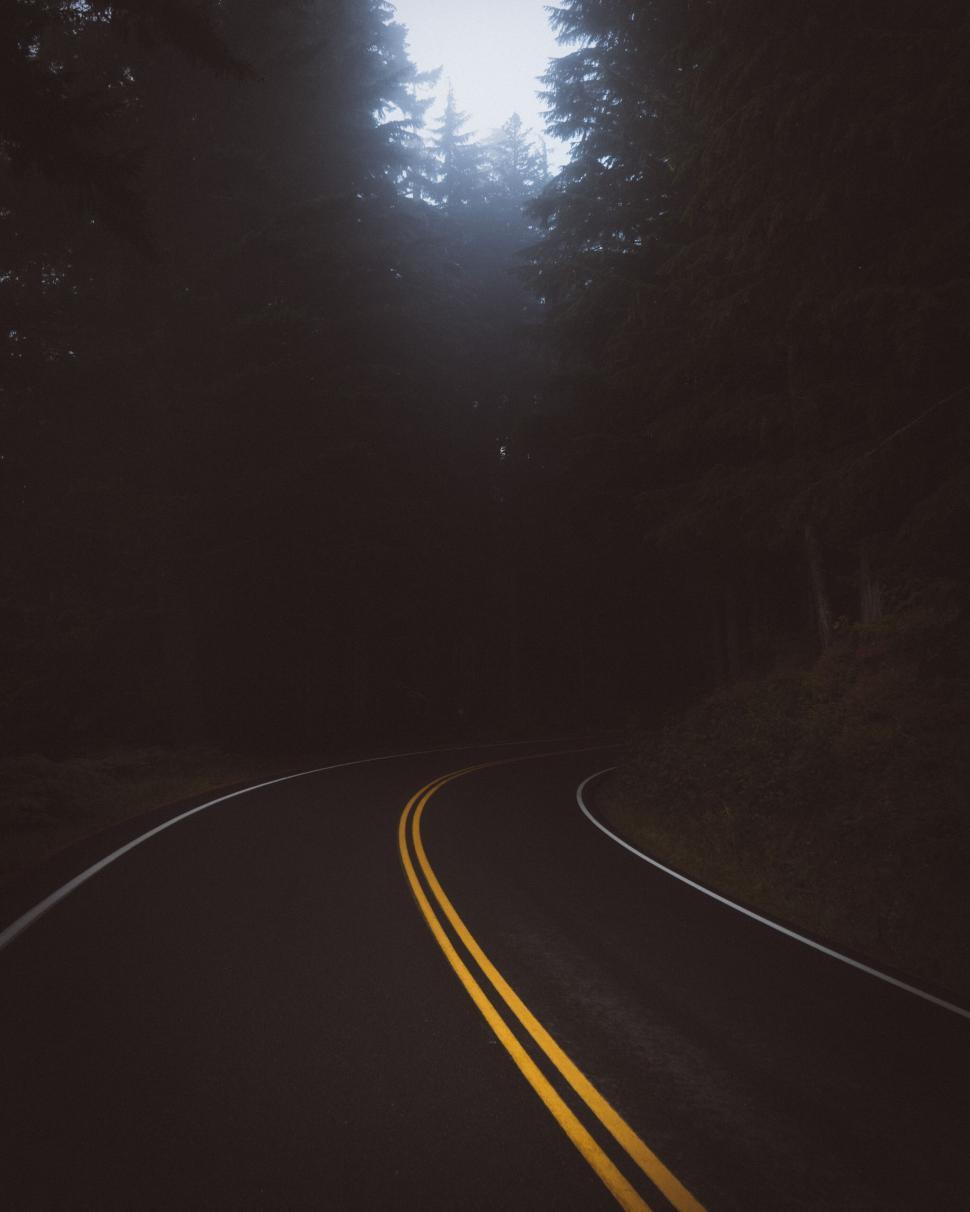 Free Image of Misty forest road with yellow lines 