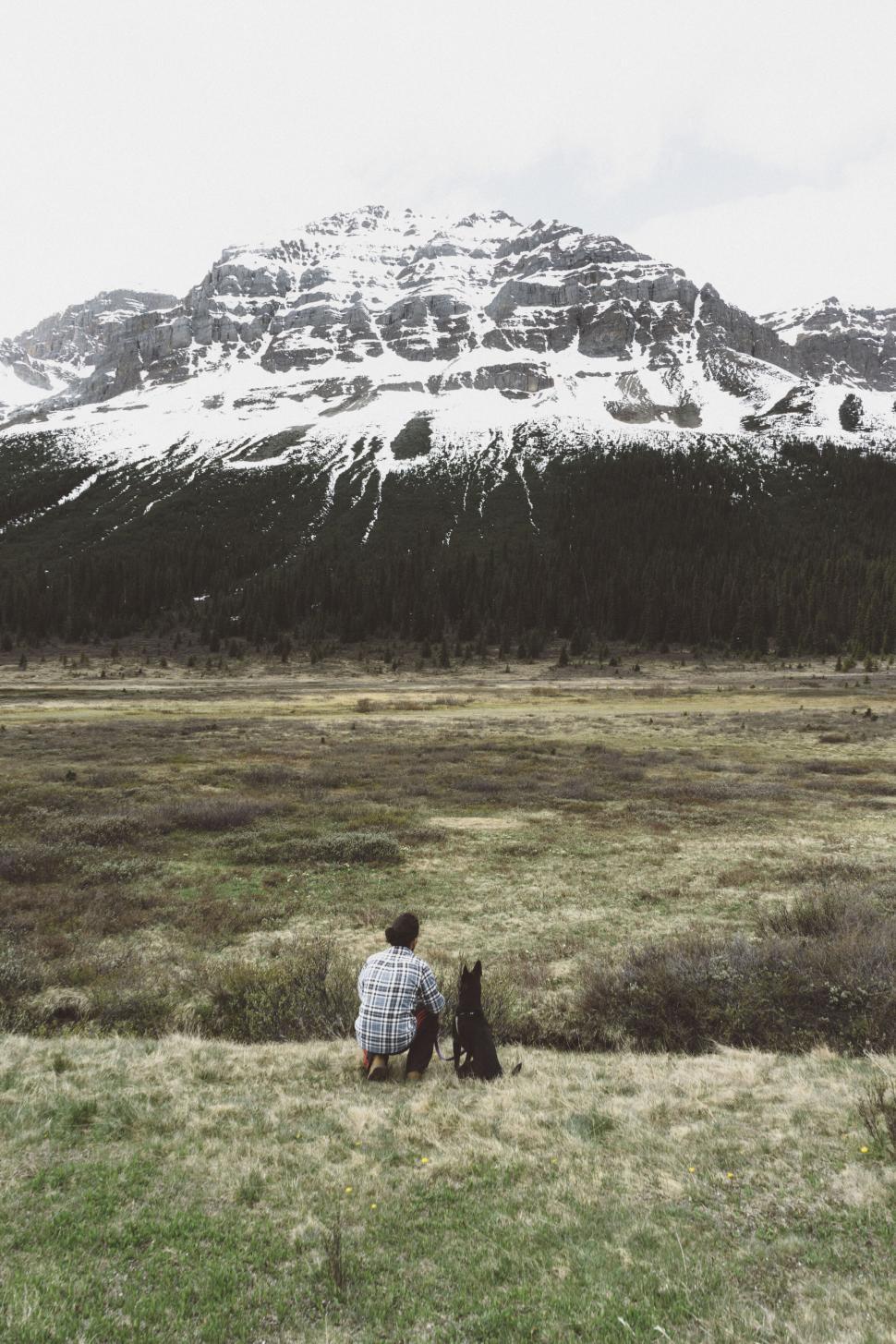 Free Image of Person and dog looking at a snowy mountain 