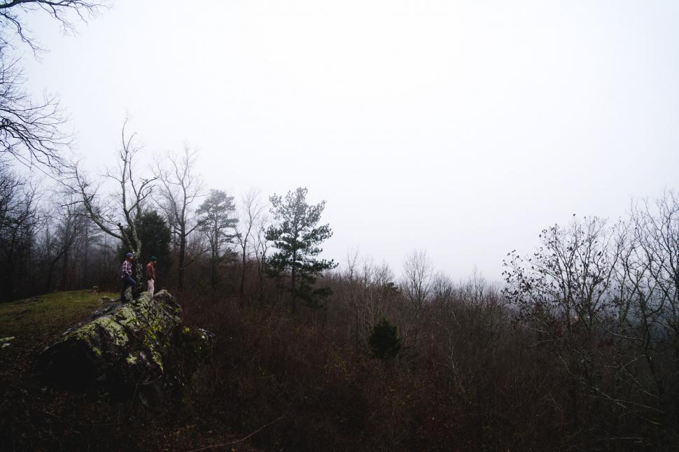 Free Image of Misty forest landscape with people on a rock 