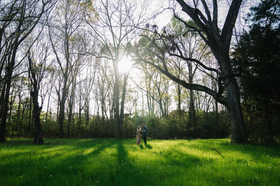 Free Image of Couple walking in a sunny meadow 