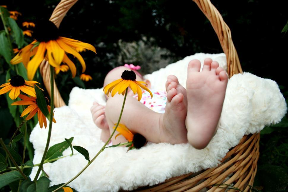 Free Image of Baby feet peeking through a flower basket 