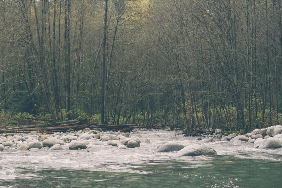 Free Image of Forest river with boulders and trees 