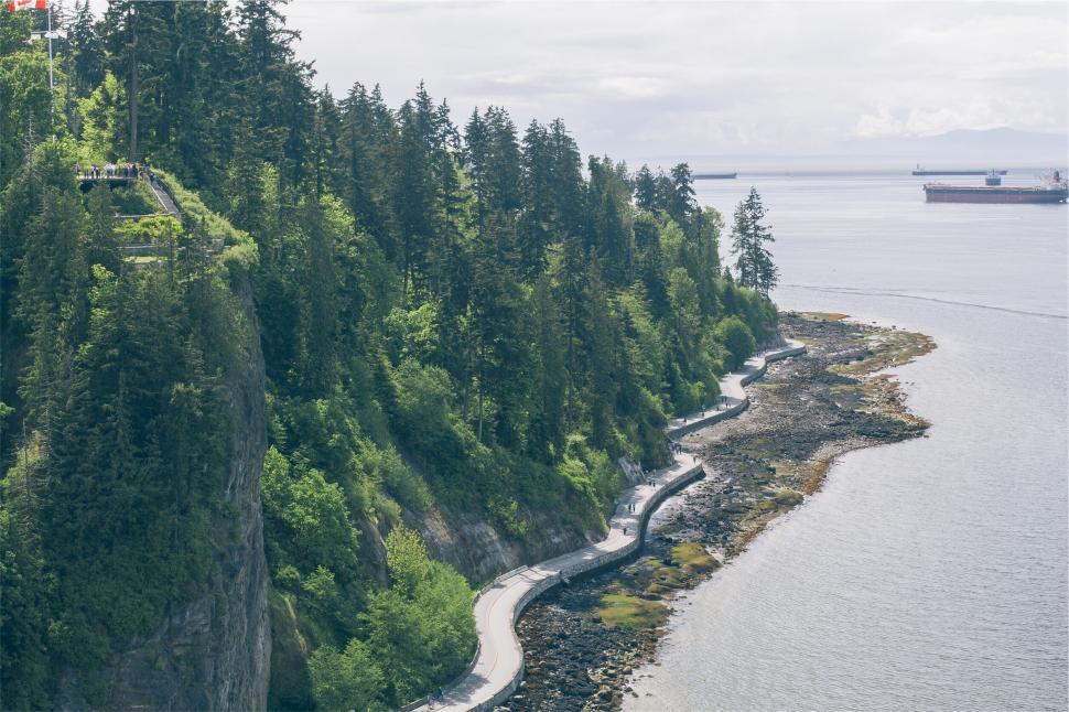 Free Image of Coastal road by the lush forest and sea 