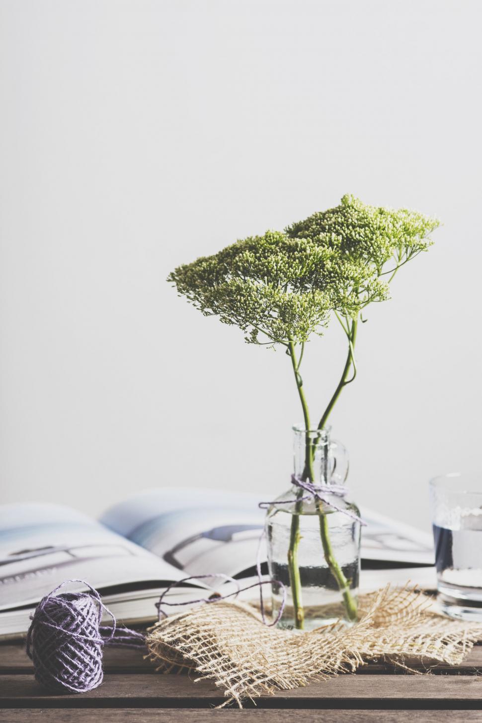 Free Image of Green plant in glass vase on desk 