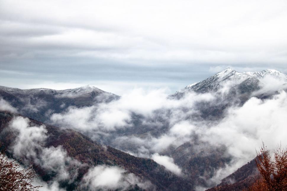 Free Image of Foggy mountain landscape with autumn trees 