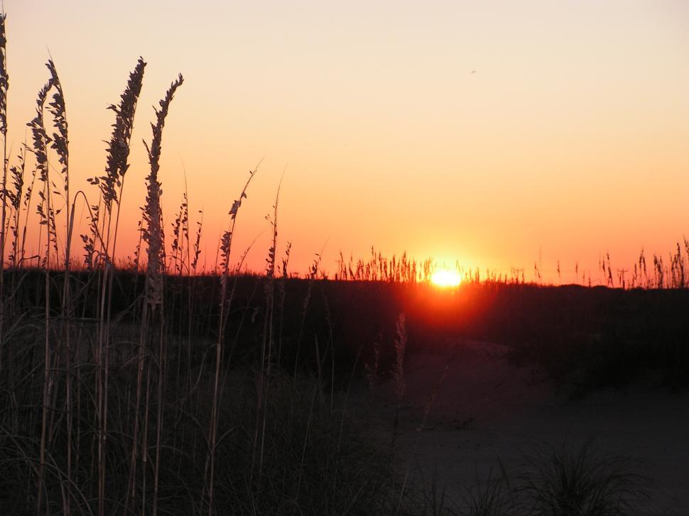 Free Image of outer banks 