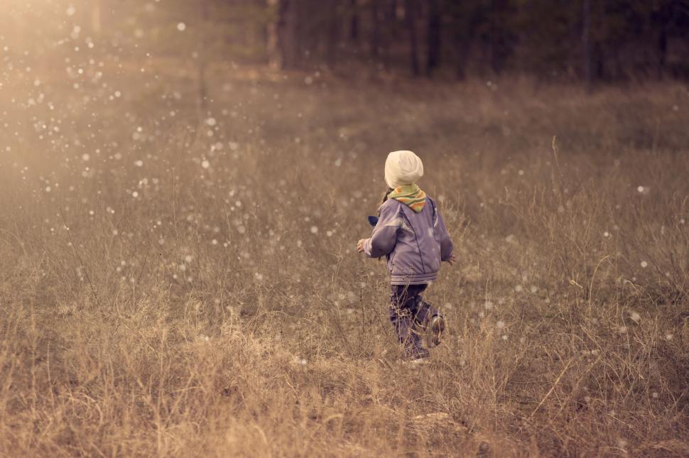 Free Image of Child walking through a meadow field 