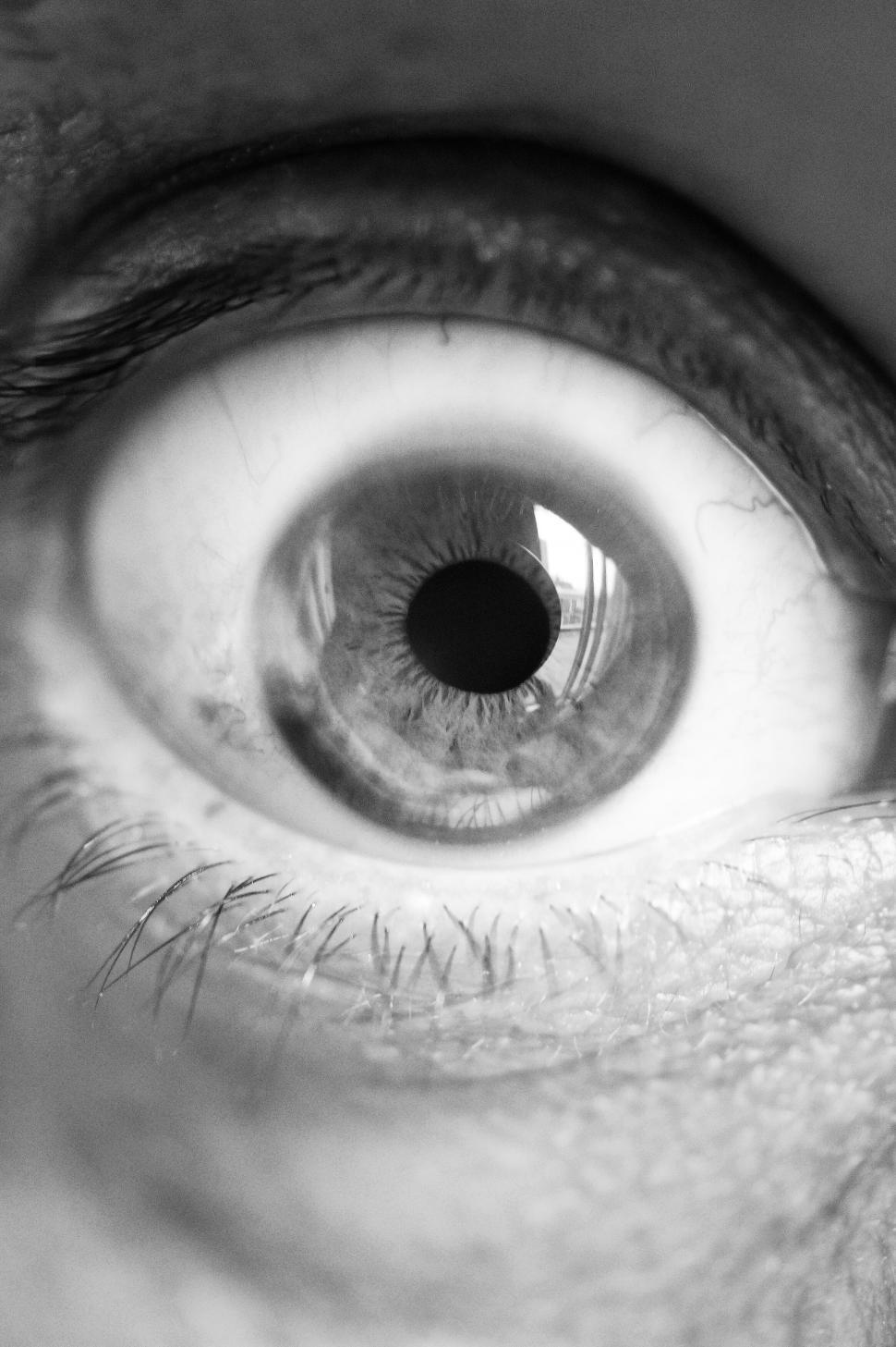 Free Image of Close-up of a human eye in black and white 