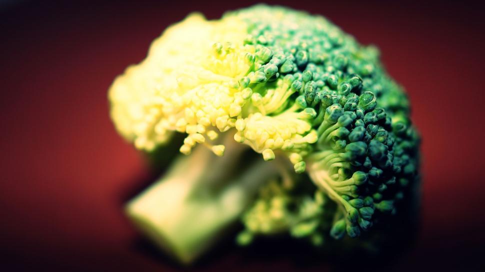 Free Image of Broccoli close-up with a vivid backdrop 