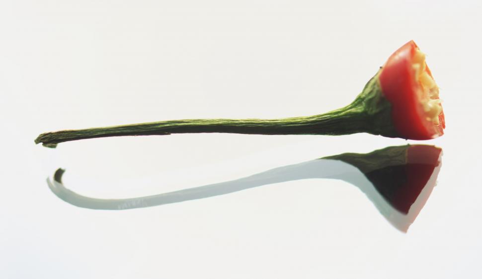 Free Image of Red chili pepper with reflective shadow 