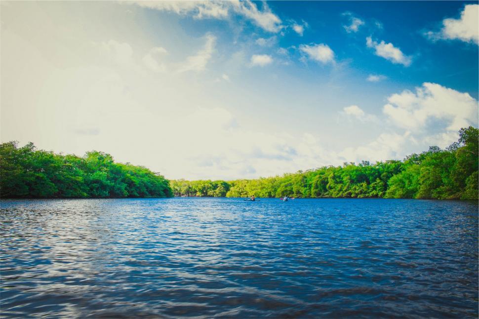 Free Image of Vibrant blue river surrounded by greenery 