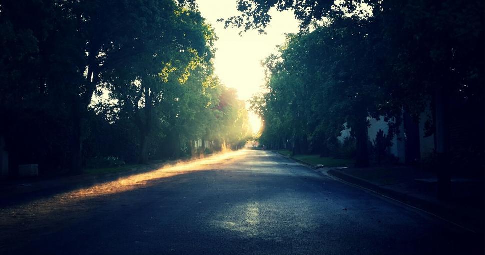 Free Image of Sunrise on a tranquil tree-lined street 