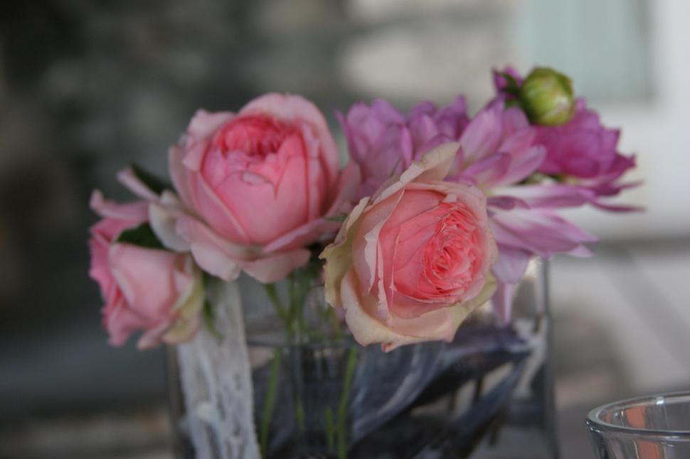 Free Image of Flowers 