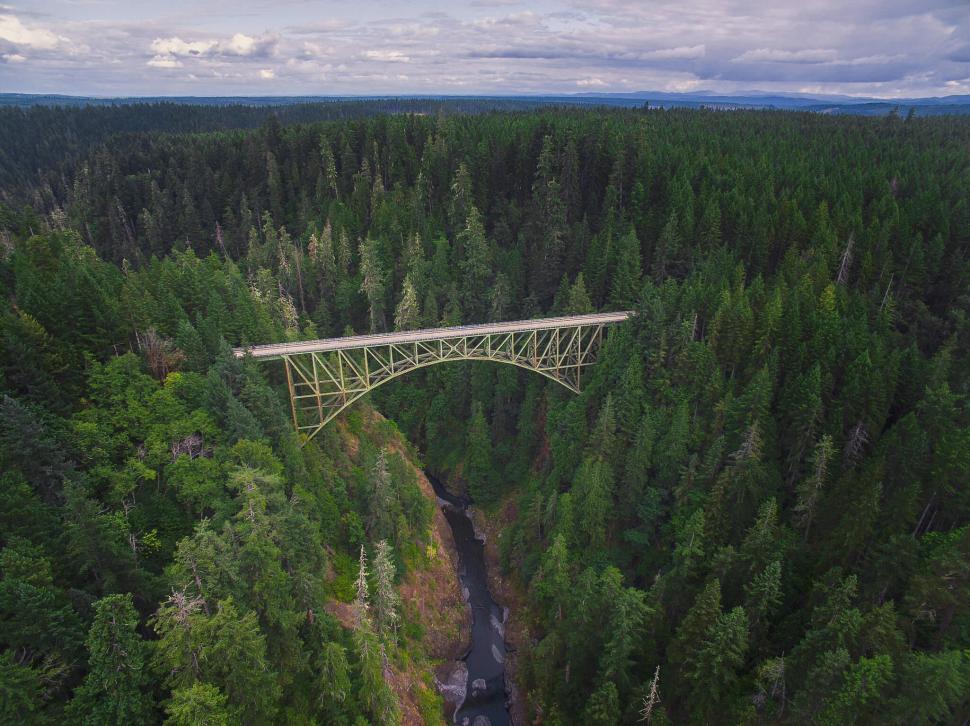 Free Image of Aerial view of a bridge over forested canyon 
