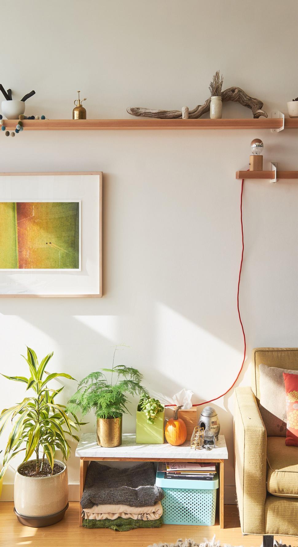 Free Image of Comfortable and stylish living room interior 