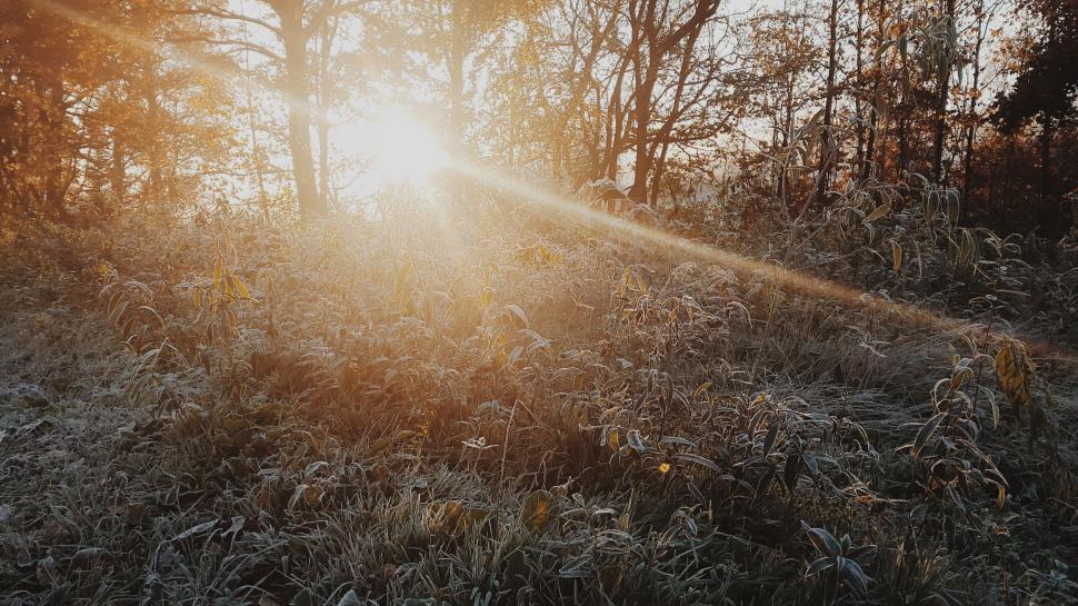 Free Image of Sunrise over a frost-covered field 
