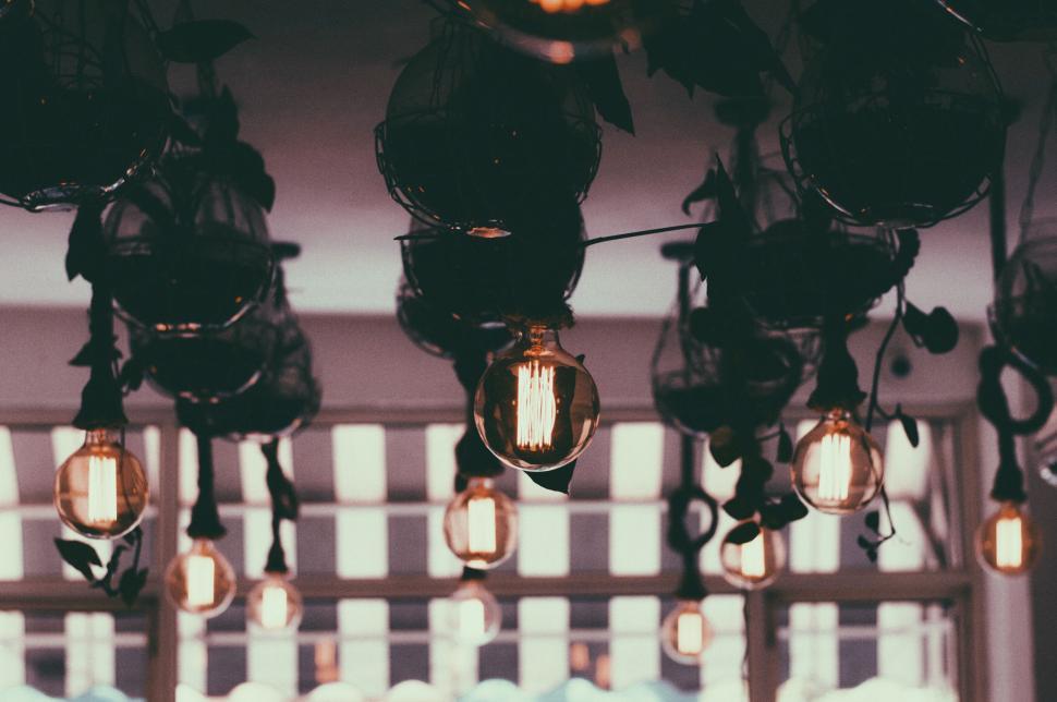 Free Image of Mood lighting with hanging planters in a cafe 