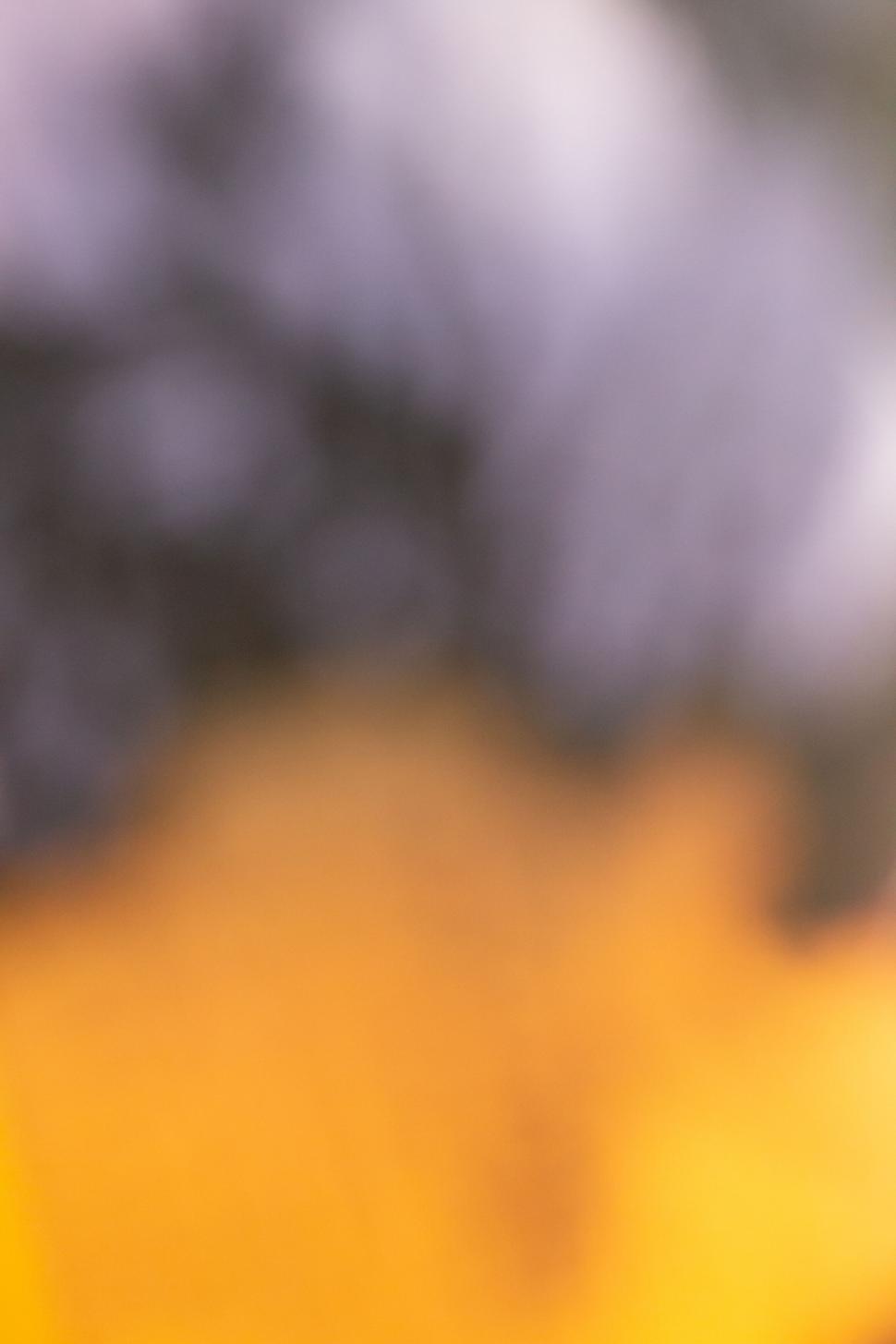 Free Image of Abstract blurry background in warm tones 