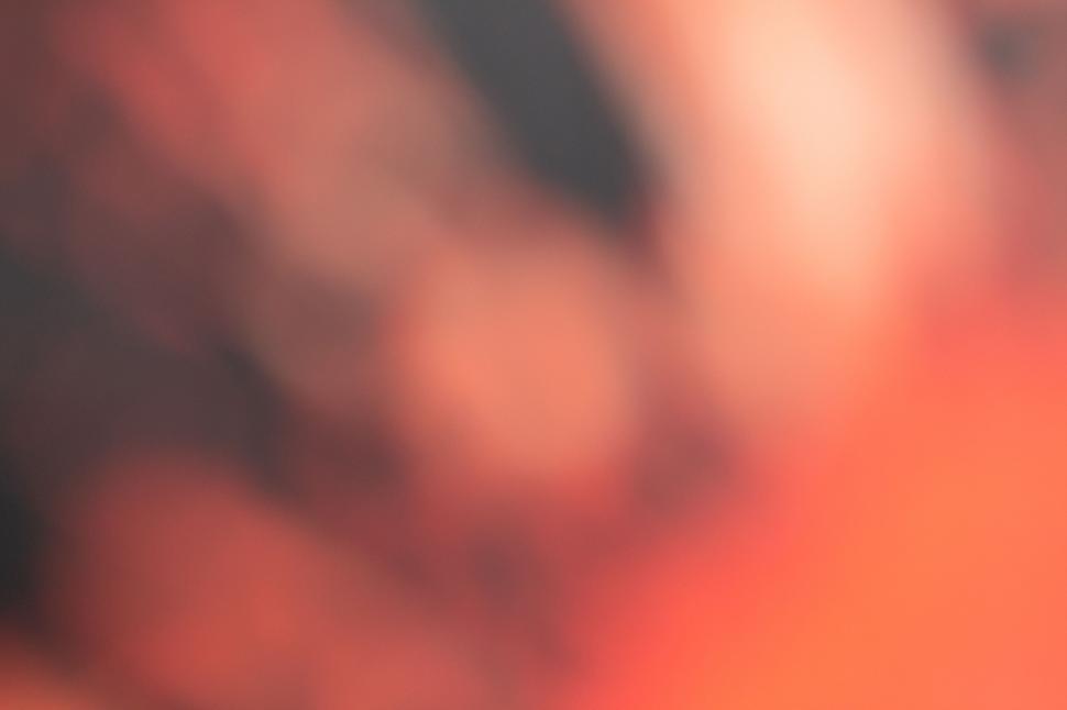 Free Image of Soft focus of coral and black textures 