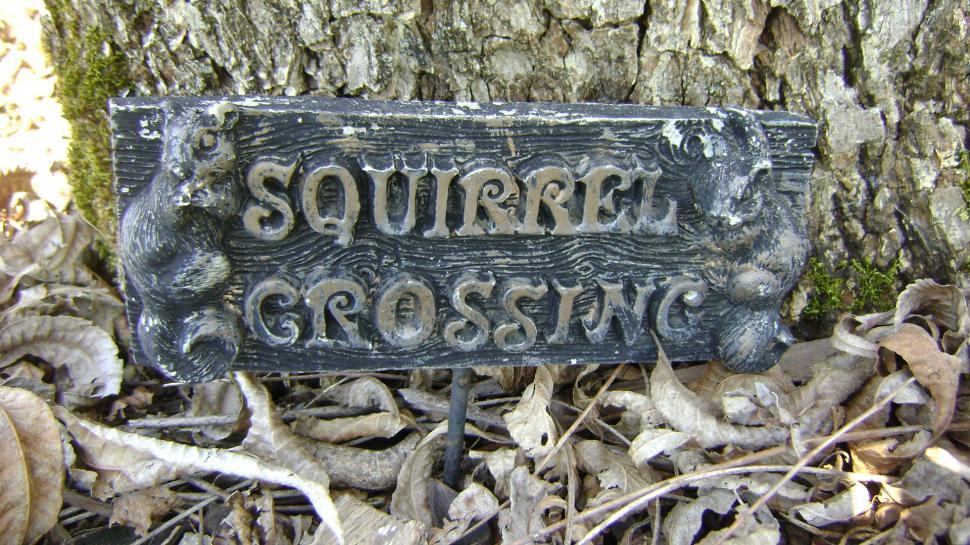 Free Image of Sign Sitting in the Grass 