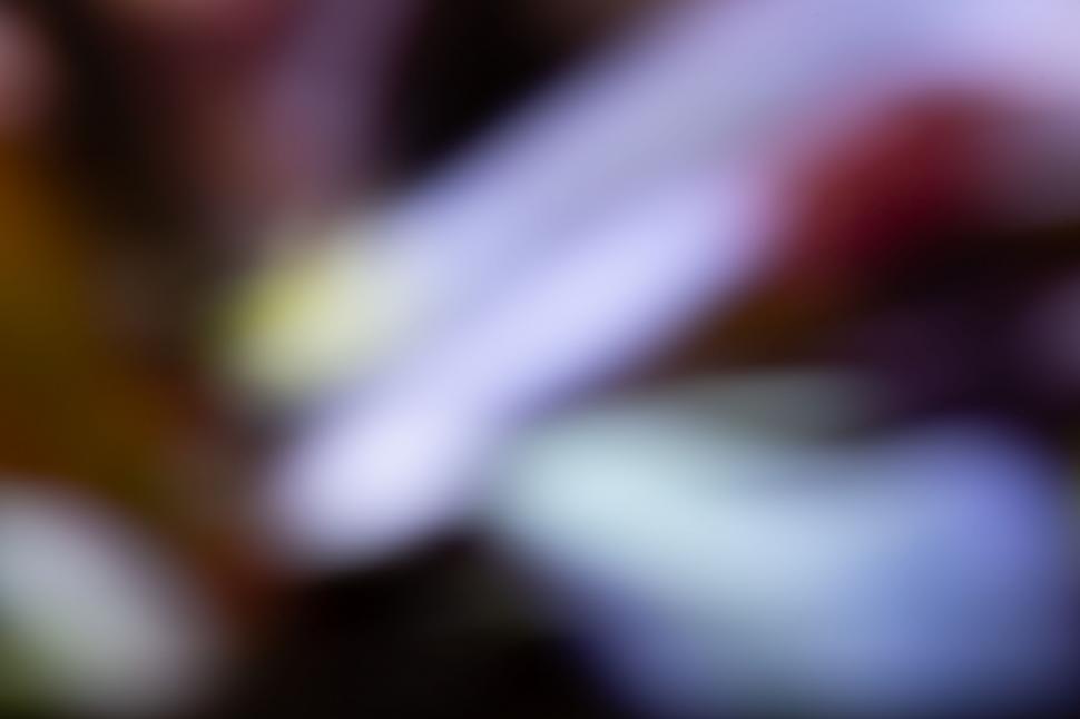 Free Image of Colorful blurry shapes and light flares 