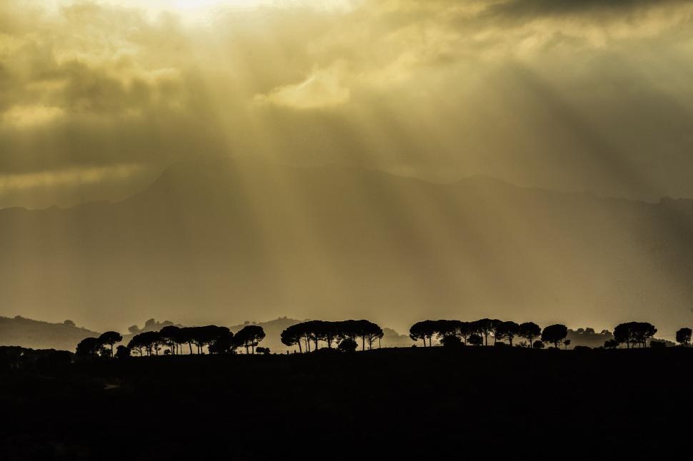 Free Image of Sun rays piercing through clouds over trees 