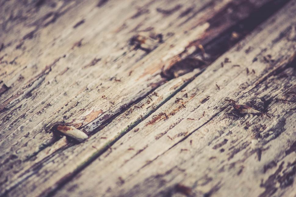 Free Image of Weathered wooden planks with rustic charm 