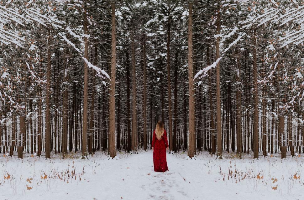 Free Image of Woman in red dress standing in snowy forest 