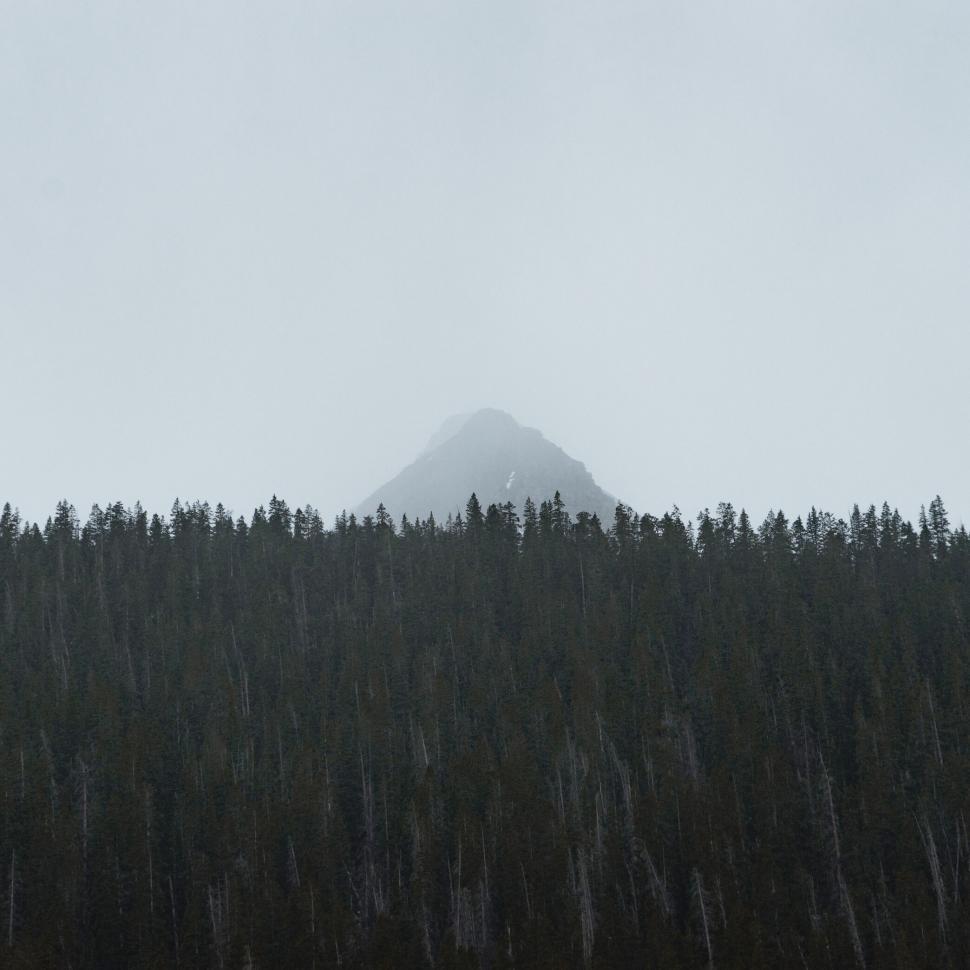 Free Image of Misty forest with distant mountain peak 