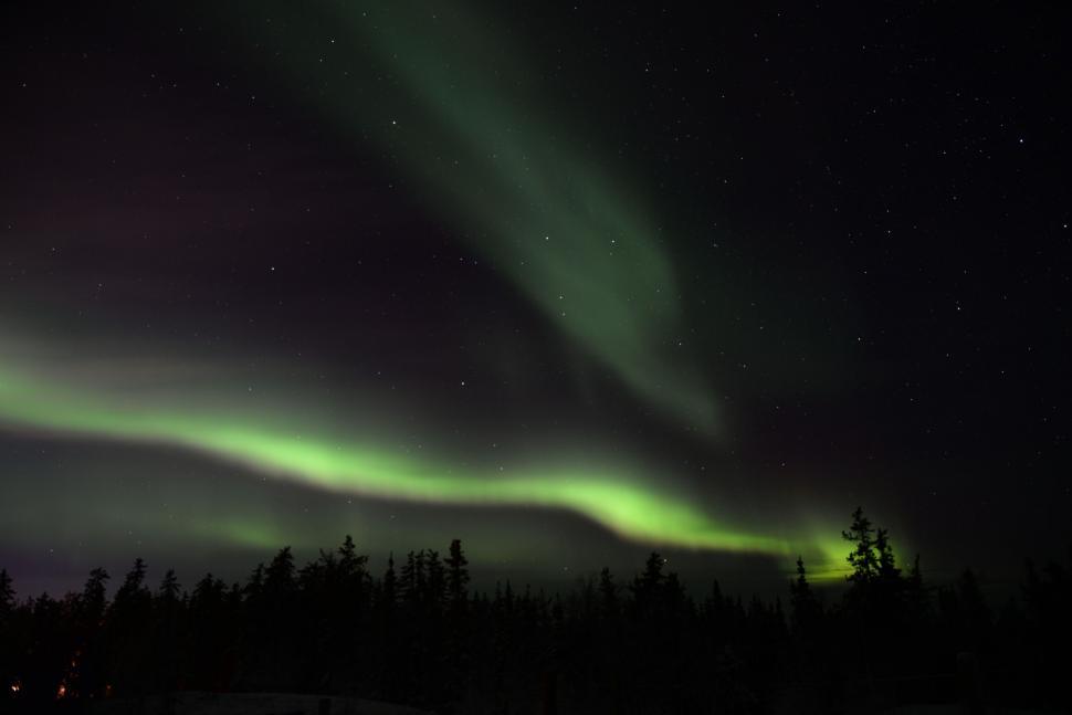 Free Image of Aurora borealis over a night forest 