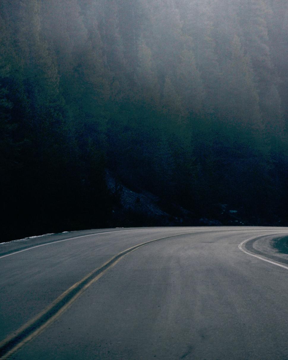 Free Image of Forest road curve in misty conditions 